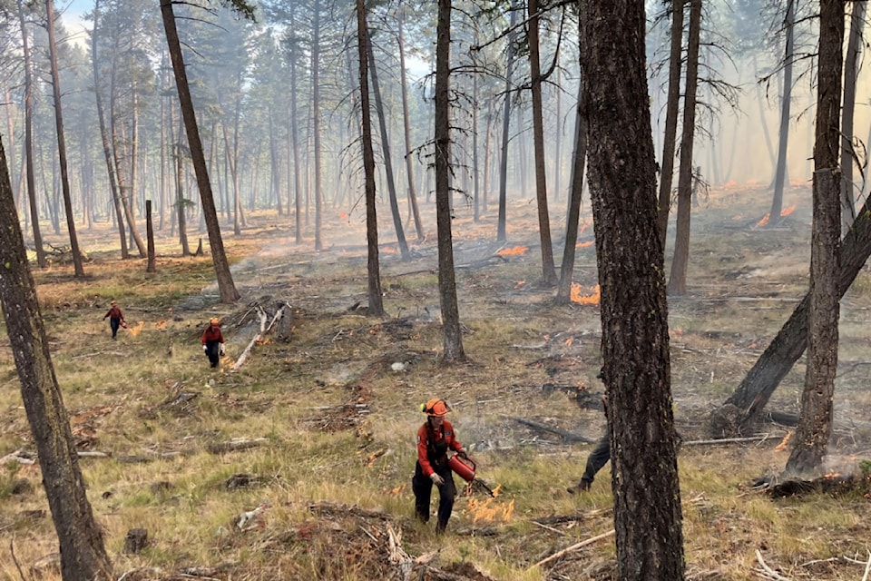 Controlled and cultural burns are tools First Nations have used for generations to manage the land and lower wildfire danger. 