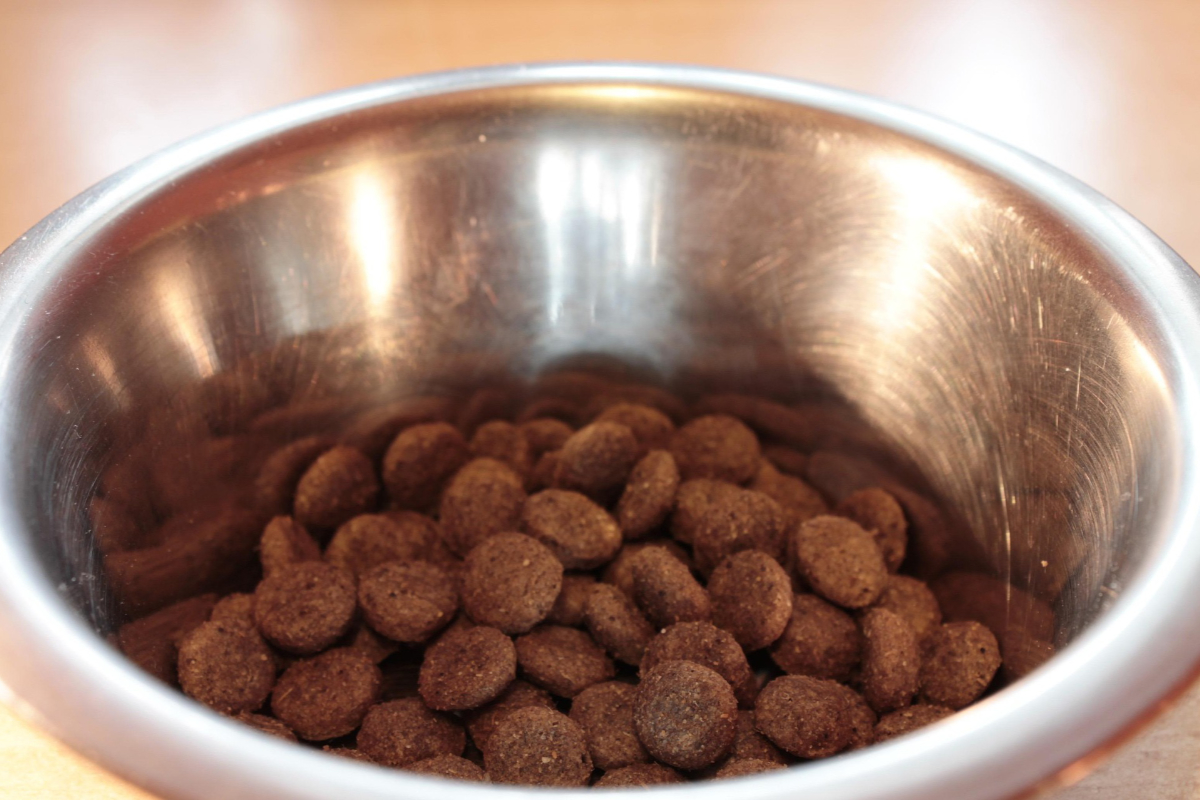 25 cases of salmonella linked to dog food reported in B.C, Alberta