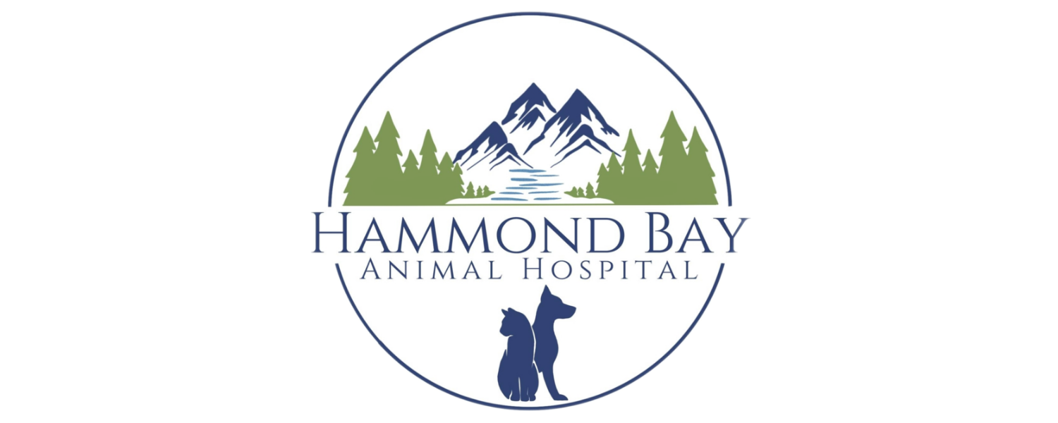 Hammond Bay Animal Hospital