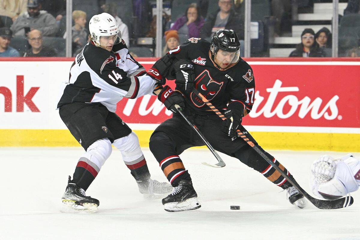 Giants Ethan Semeniuk and Calgarys David Adaszynski battle for the puck at the Sunday, Oct. 30 game that saw the Calgary Hitmen, eke out a narrow 3-2 win. (Cassandra Vilgrain/Special to Langley Advance Times)