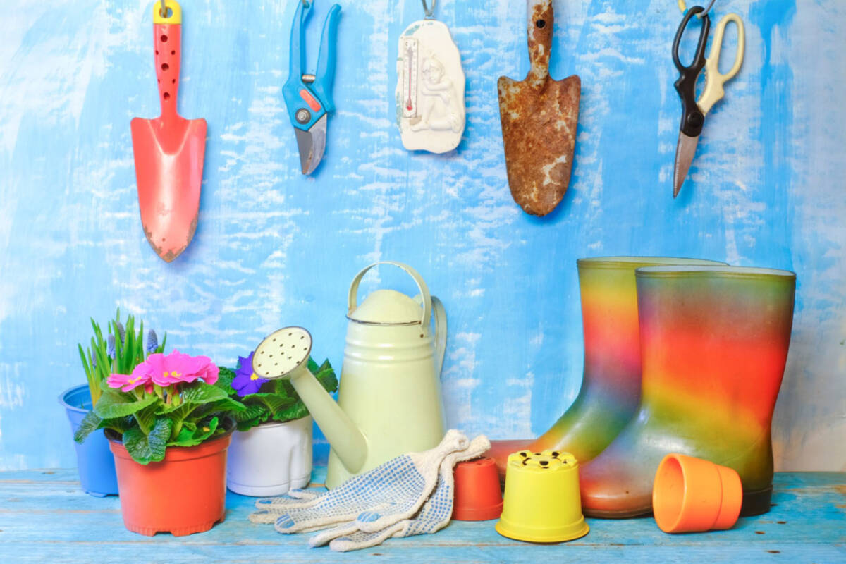 Top 5 spring gardening must-haves for under $40!