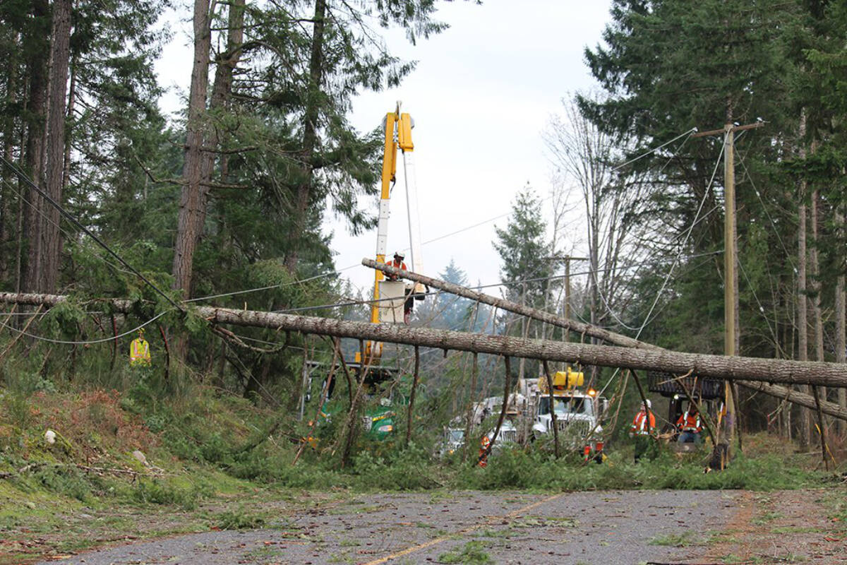 Gen Z ill-prepared for power outages: BC Hydro