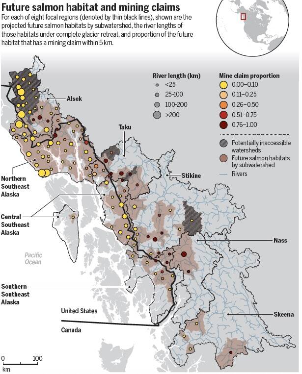 A graphic shows the overlap between future salmon habitat and mining claims, throughout receding glacial area in northern B.C. and southern Alaska. (Mining stakes claim on salmon futures as glaciers retreat/Science)