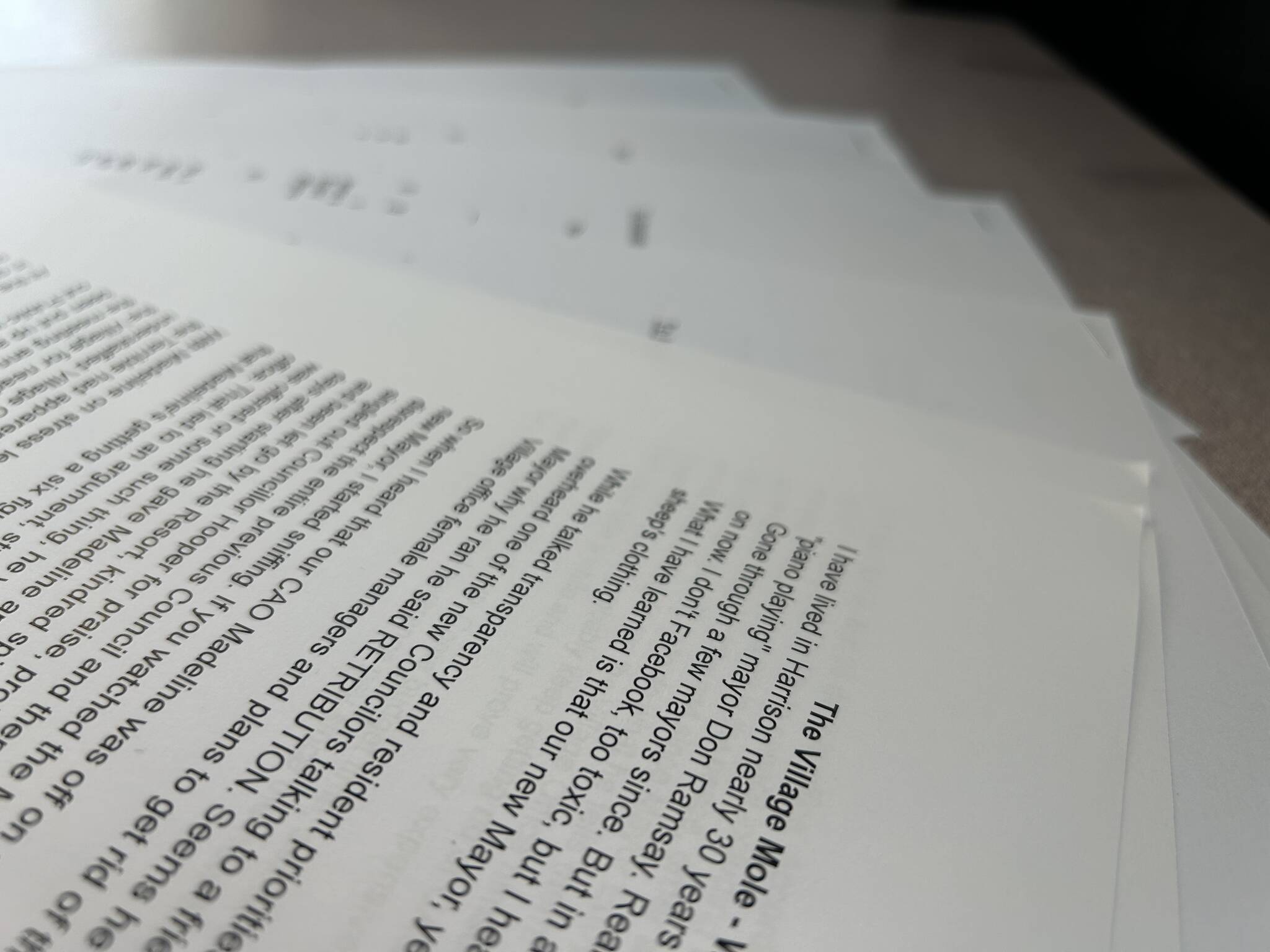 An anonymous letter writer calling themselves the village mole has written a series of letters criticizing the mayor of Harrison Hot Springs. (Adam Louis/Observer)