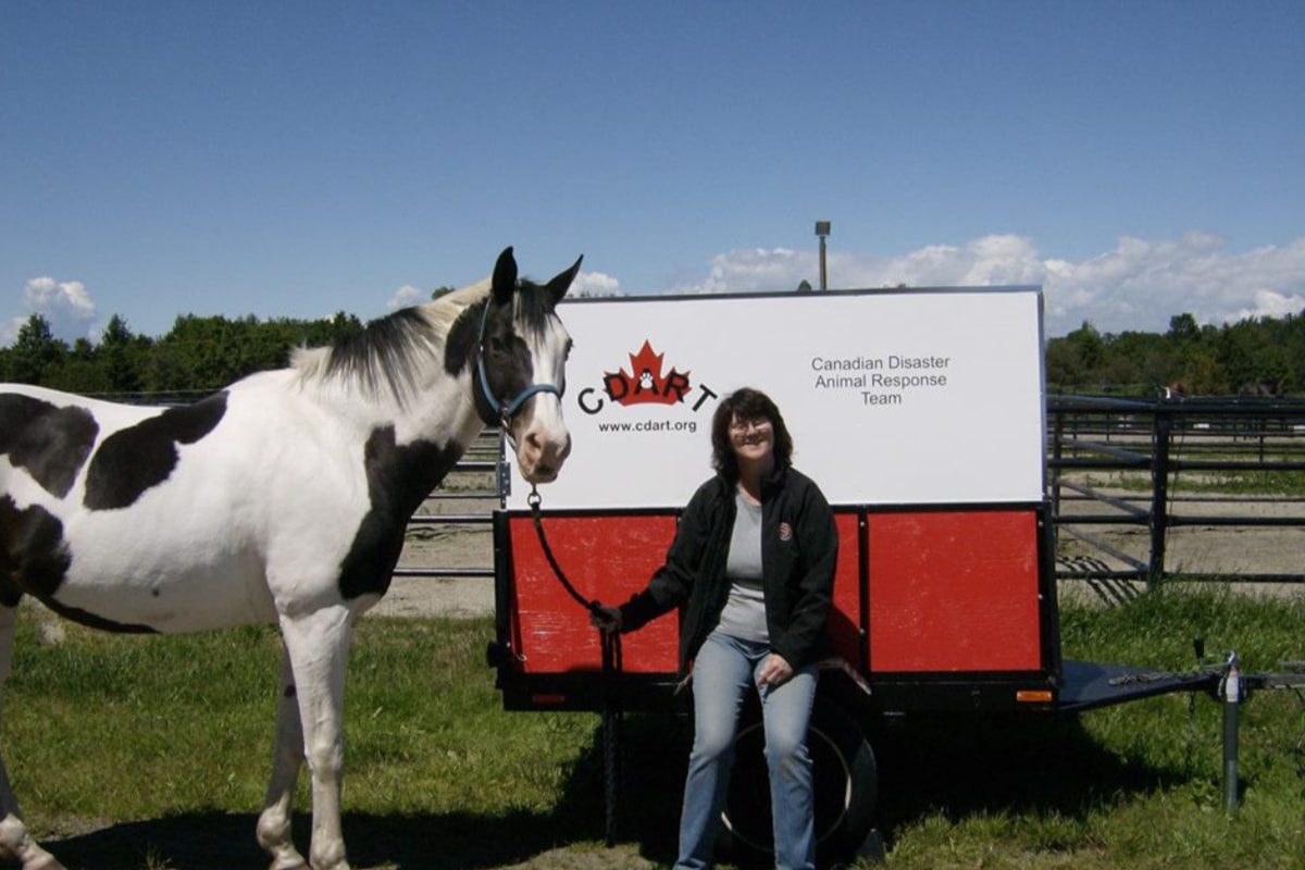 Preparing pets for disasters: Insights from B.C.’s emergency groups