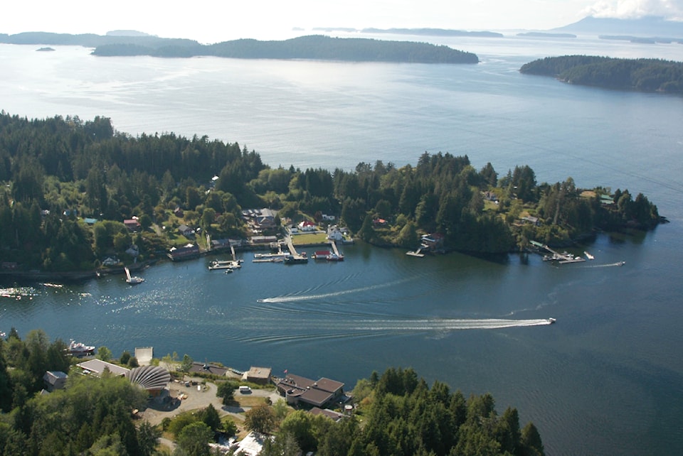 bamfieldweb