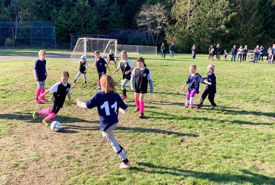 soccerfieldweb