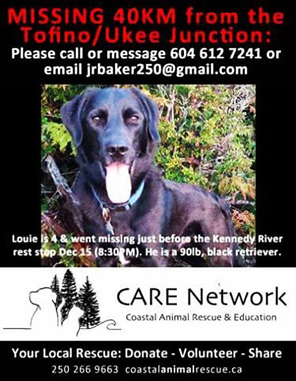 Missing sales dog network