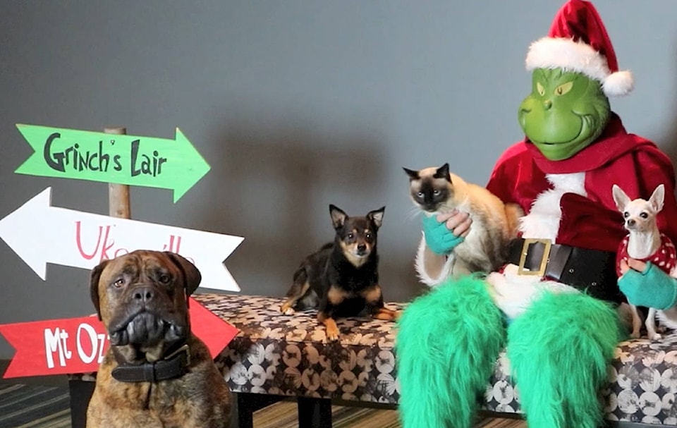 9537142_web1_171129-UWN-Ucluelet-Pets-with-Grinch-Photos_1