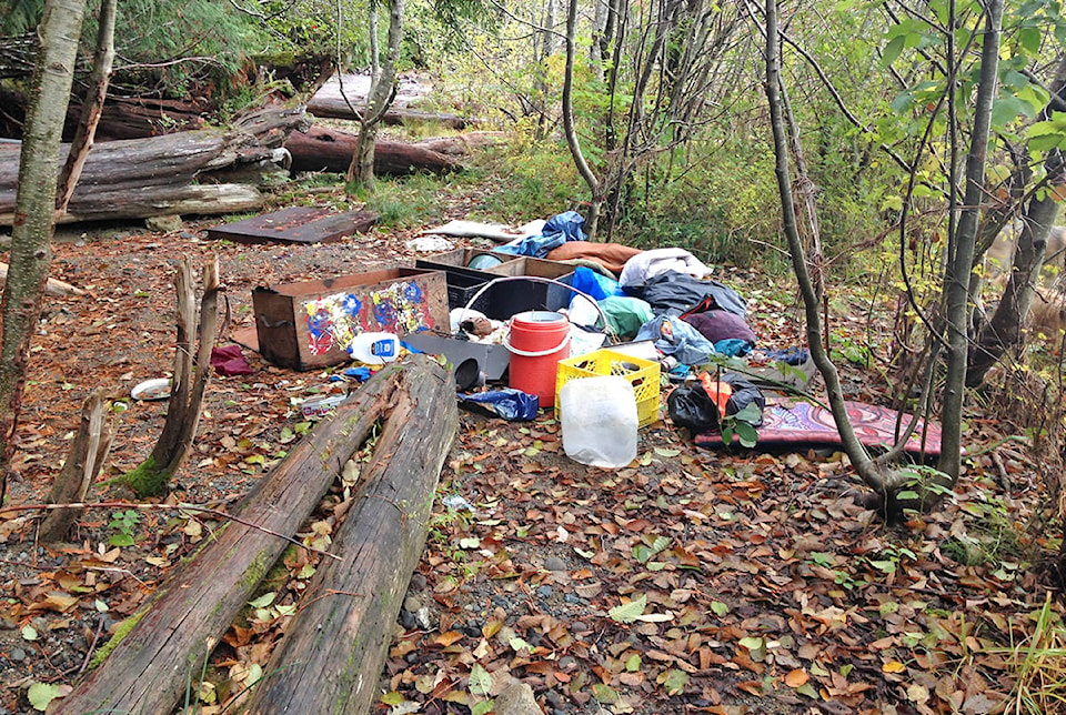 10094201_web1_180110-UWN-Kennedy-Lake-Cleanup_1