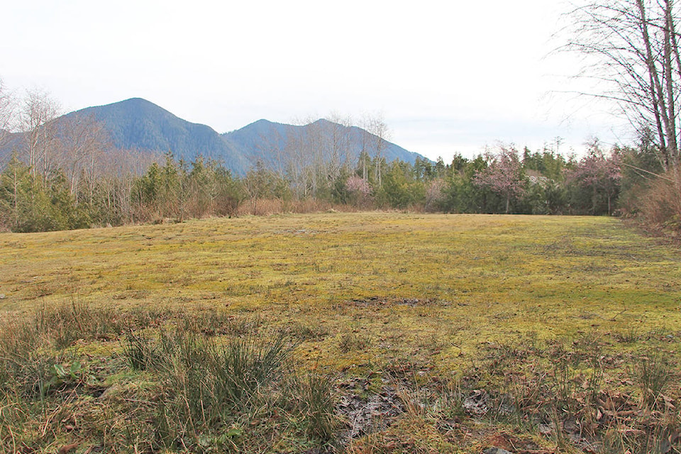 15974613_web1_190320-UWN-Tofino-Food-Garden_1