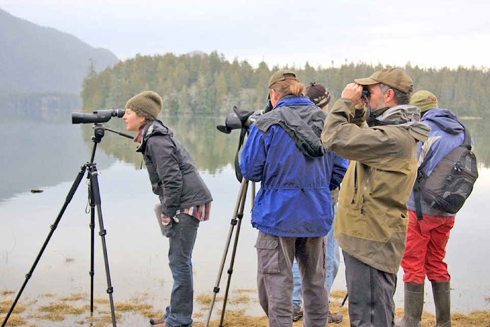 16605225_web1_190501-UWN-Shorebird-festival-tofino_1