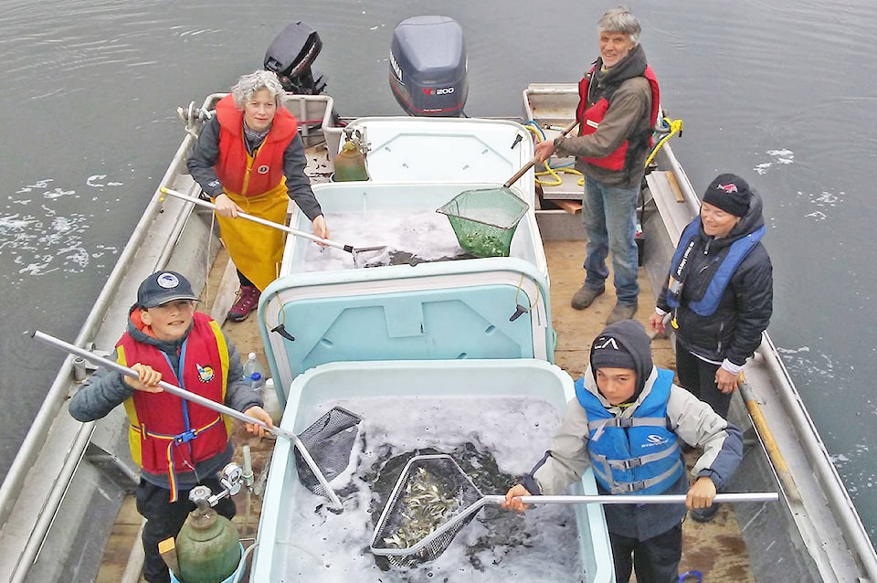 17214576_web1_190612-UWN-Tofino-hatchery_1