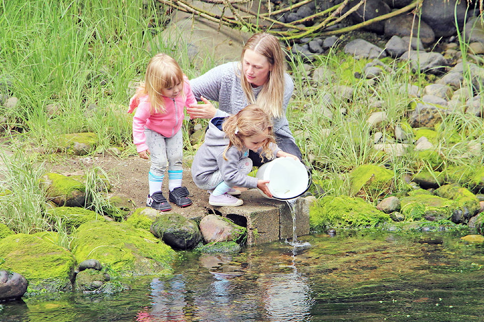 17323533_web1_190619-UWN-Ucluelet-hatchery_1