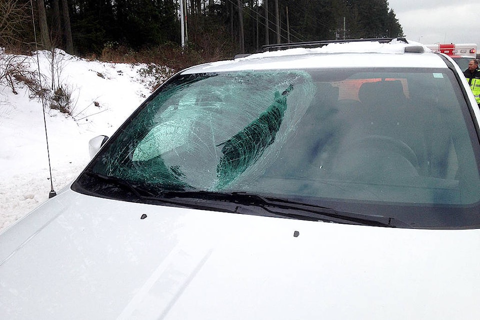 20198217_web1_200117-NBU-CrushedWindshield