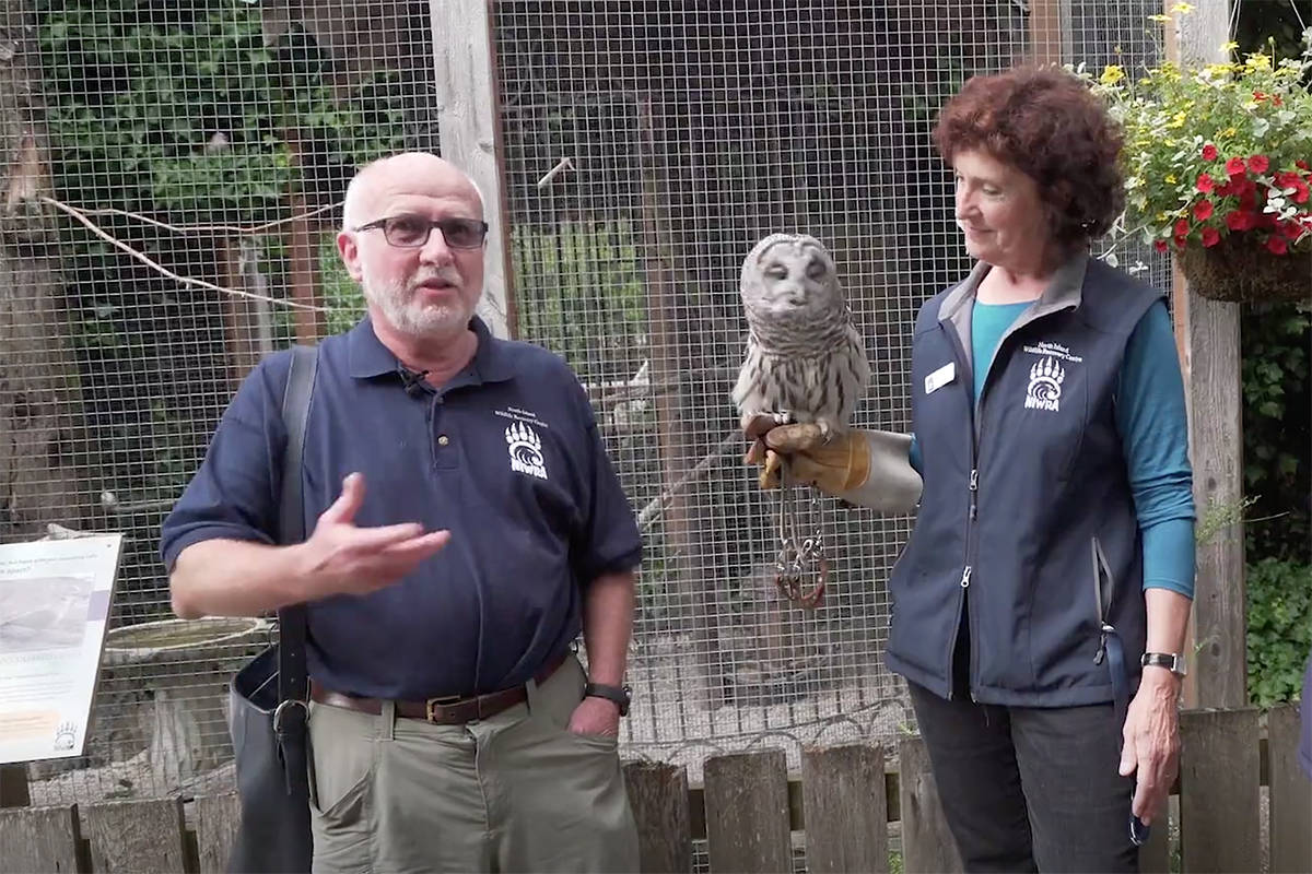 The beauty of volunteering with NIWRA