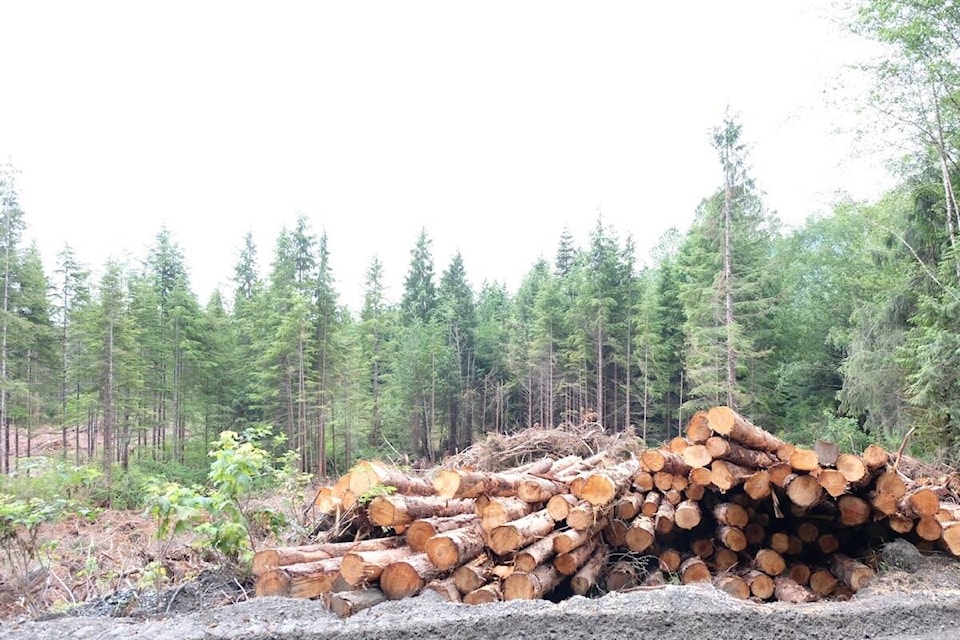 27268644_web1_211122-UWN-ucluelet-first-nation-refutes-old-growth-deferrals-FORESTRY_1