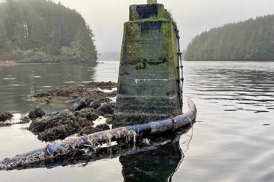 27850671_web1_220119-UWN-Water-break-Ucluelet_2