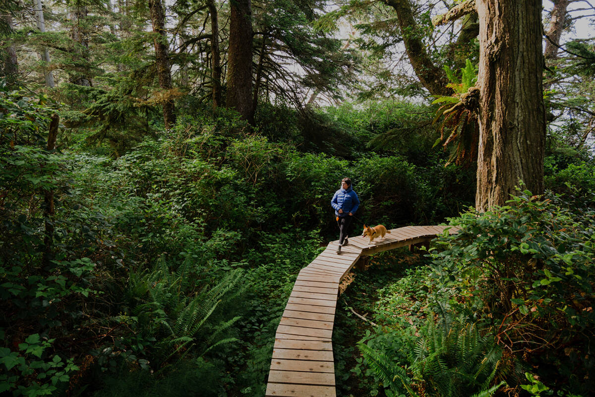 ʔiisaak sustains the land for future generations and supports Tla-o-qui-aht Triabal Parks work in preserving, restoring and protecting their homelands, that includes Tofino, as one of the worlds top biospheres. Photo credit: Jaiden George/ZenSeekers