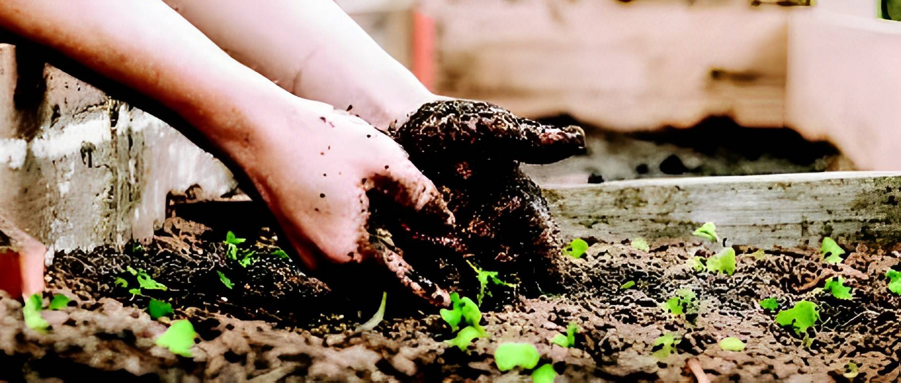 Earth Day Image