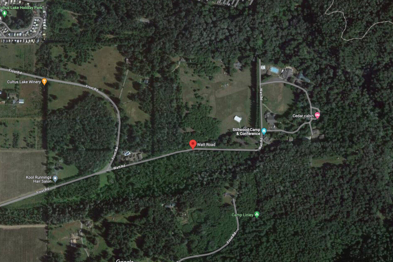 B.C. woman kicked by horse, seriously injured – but doesn’t blame the animal