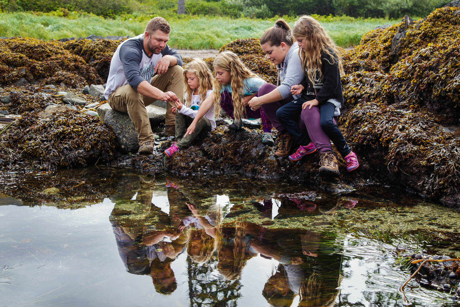 Tidepools around Ucluelet are brimming with aquatic life. Photo: Landon Sveinson