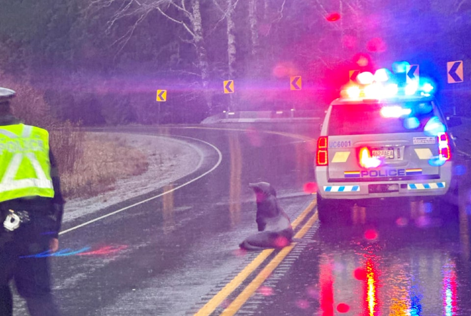 sealionhwy