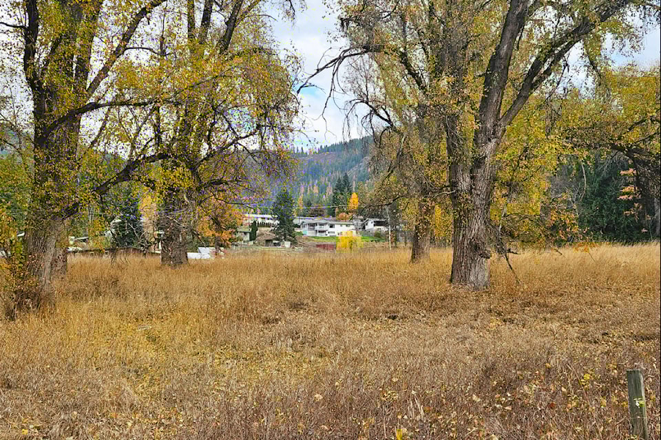 The Grieve Road site of the FortisBC substation looking toward Moller Road.