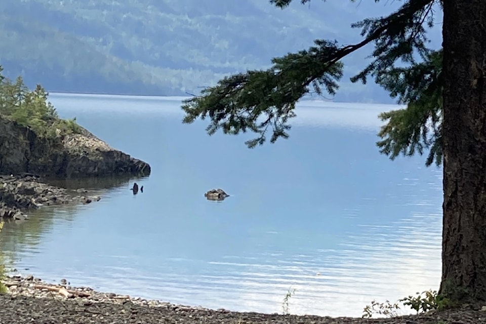 The picturesque Riondel campground.