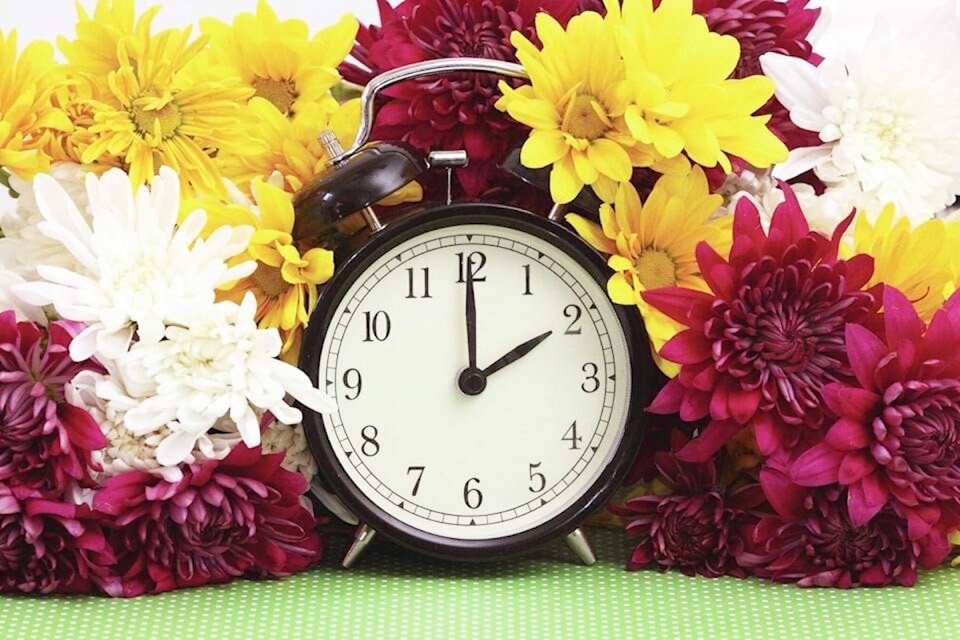 241030-tdt-m-clock