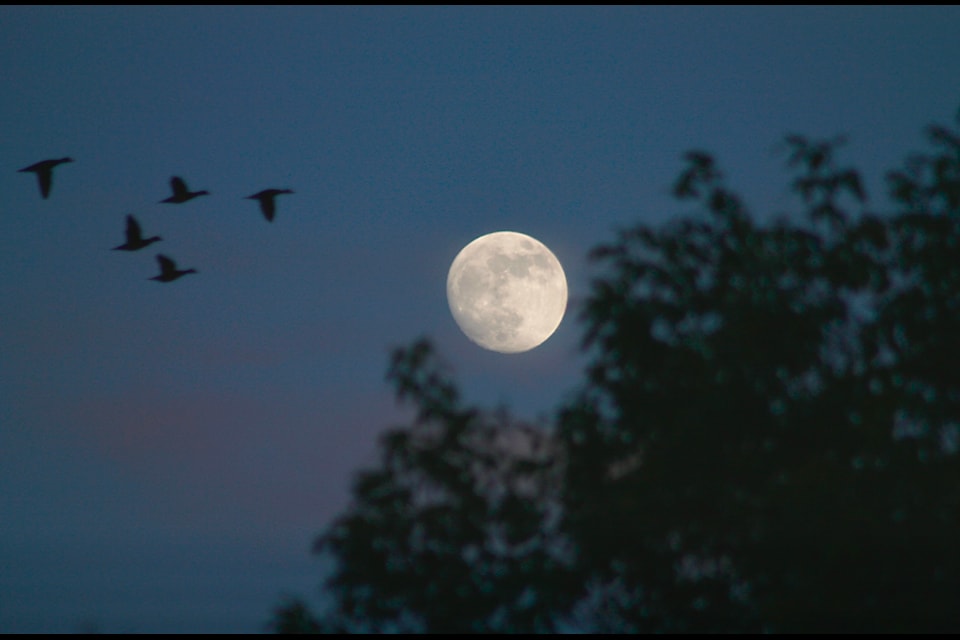 The moon is by far the most observed object in the sky.