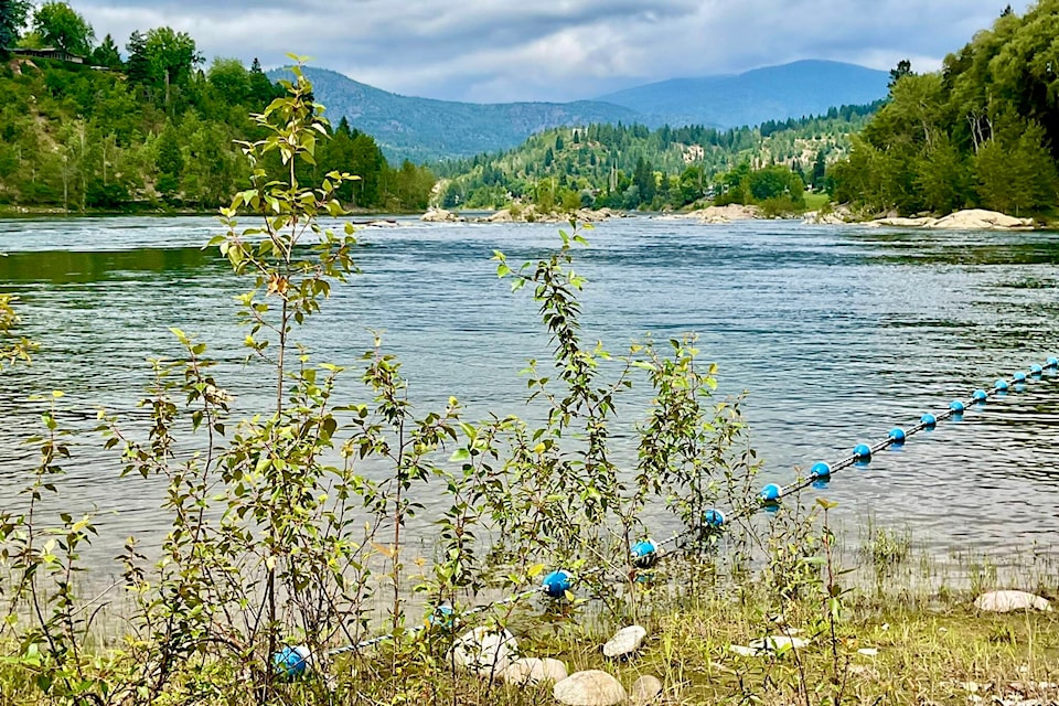 For many, Gyro Park is more than just a park, it’s a piece of Trail’s civic and cultural DNA.