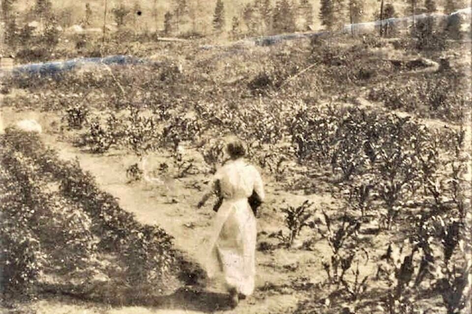 This 1917 photo shows Mrs. Floyd racing to bury her valuables as wildfire threatened East Trail. That summer, flames came dangerously close to wiping the town off the map, and it wasn’t the only fire Trail faced that year.