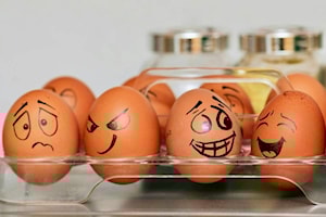 Eggs-tra expensive vandalism hits Trail neighbourhood