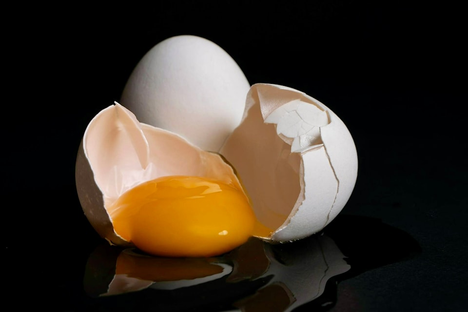 img_5340eggs