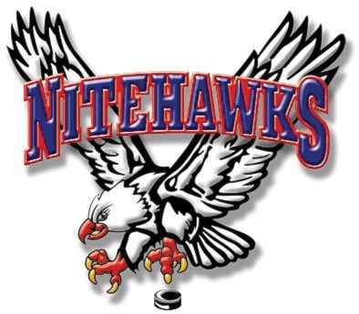 12226traildailytimesBeaver_Valley_Nitehawks_Logo