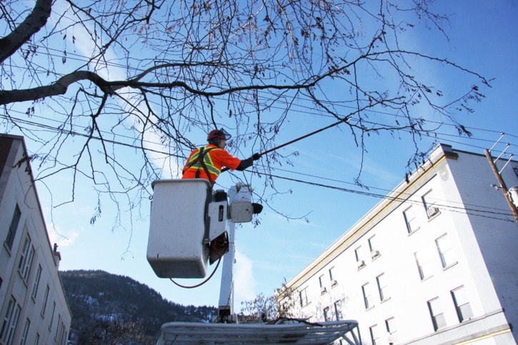 18903traildailytimesColumbiaTreeServicestreepruner1-12-12