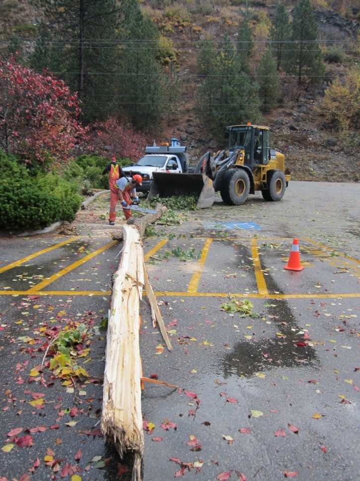 33816traildailytimesGyroParkstormcleanup10-17-12