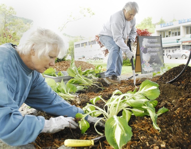 72727traildailytimesTrailCommunitiesinBloom05-23-12