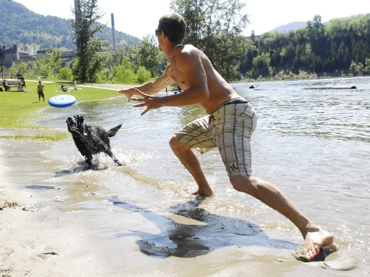 79838traildailytimesGyroBeachfrisbeetoss07-12-12