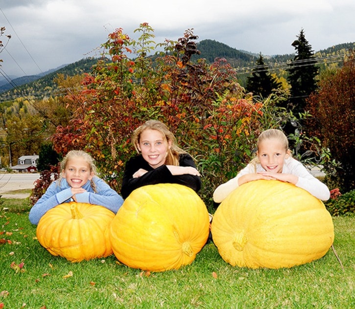 93945traildailytimesWEBtdtPumpkin