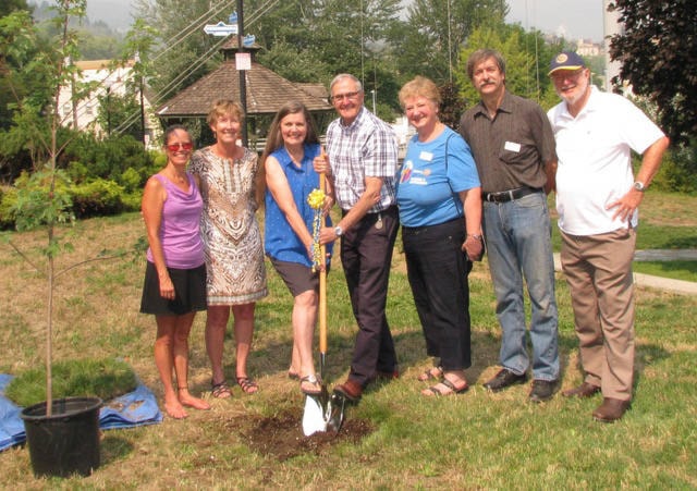 7961485_web1_170803-TDT-tree-planting