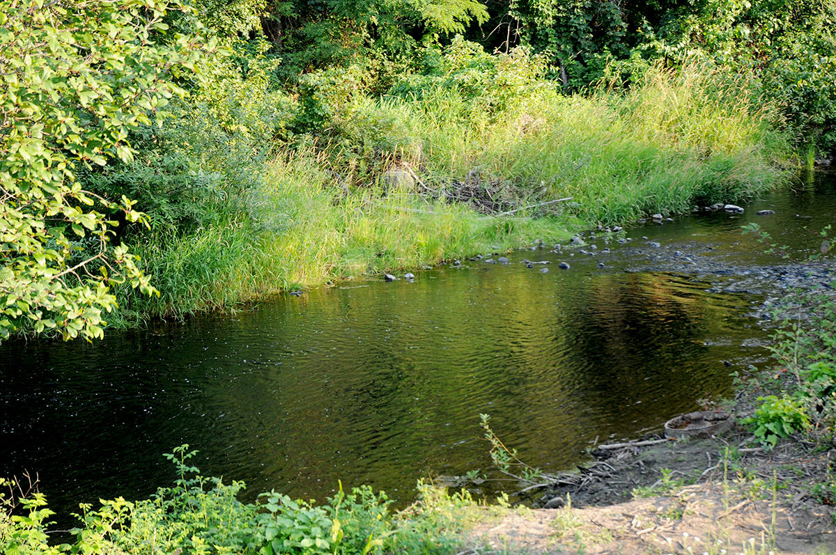 The new Creekside RV Park is open for business