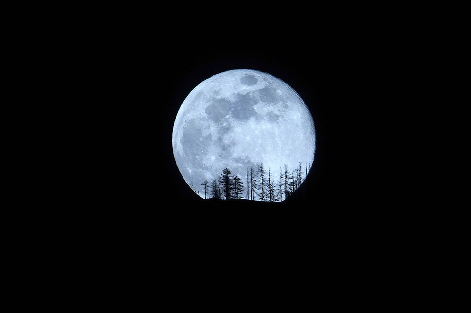 11264374_web1_180403-TDT-Mblue-moon