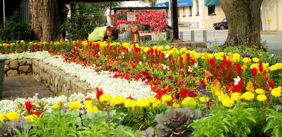 13057381_web1_180809-TDT-rainbow-garden