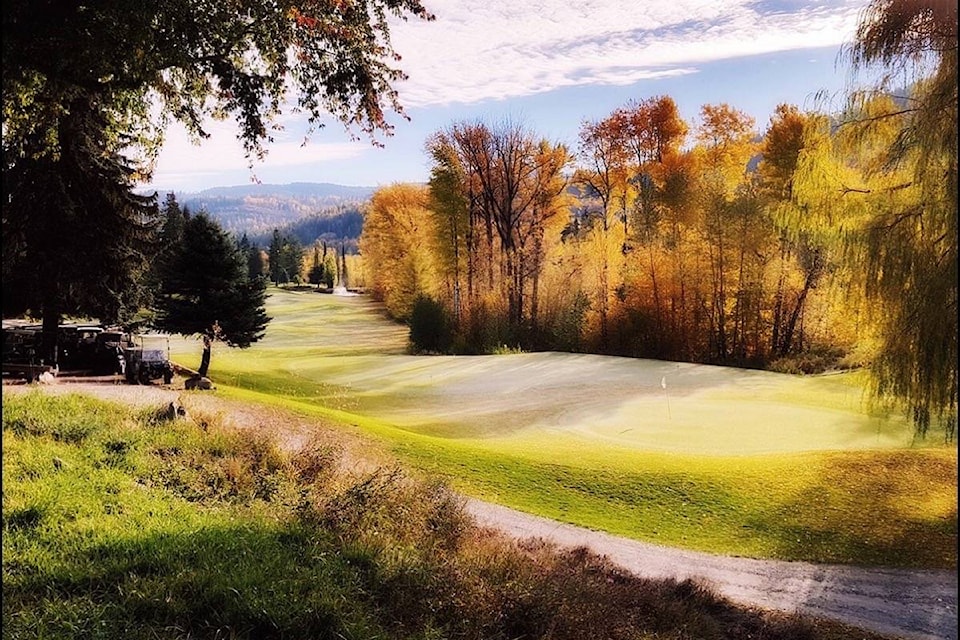 14259833_web1_181105-TDT-M-golf