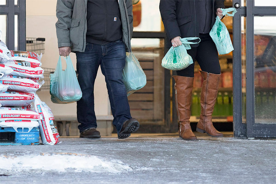 16749492_web1_190205_YKN_grocery-bags_021WB