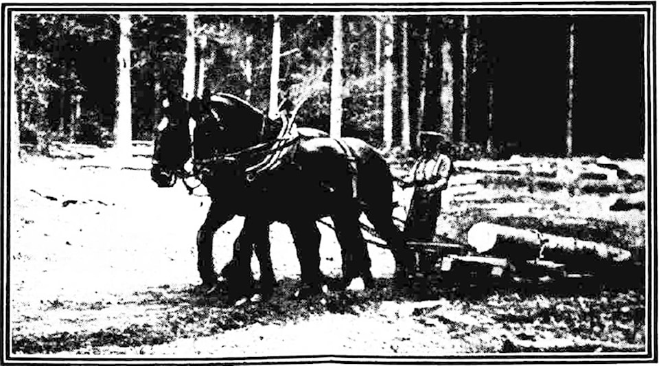 19211080_web1_Horses1