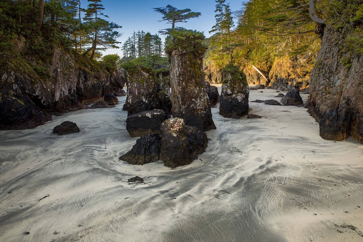 Cape scott deals trail