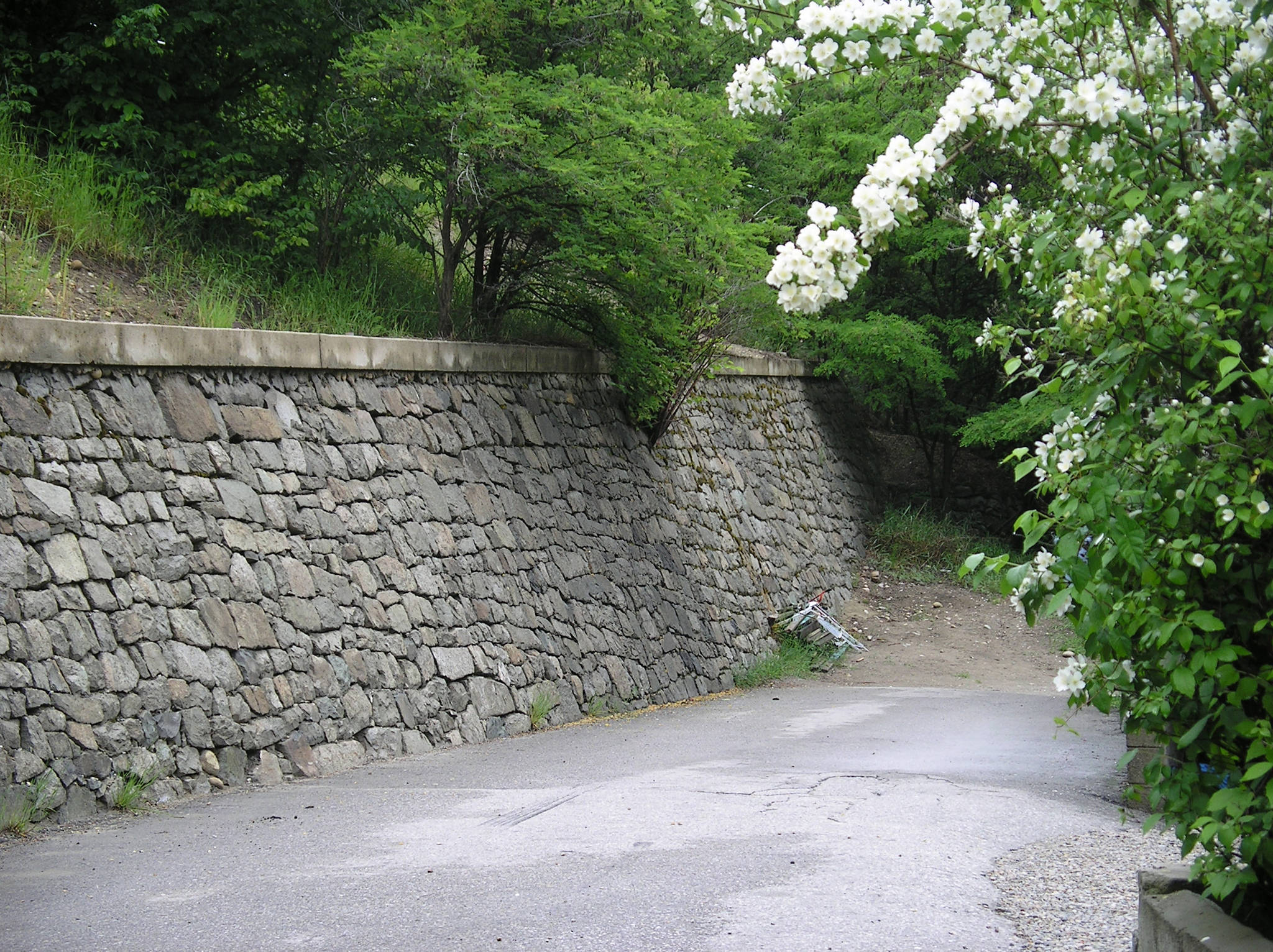 The magnificent Fifth Avenue Hill rock wall is a 366-foot support wall Louie Bedin built in 1960 with stonemason Frank Balkovec. Photo: Submitted